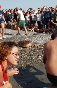 Screenshot_20170902-162210