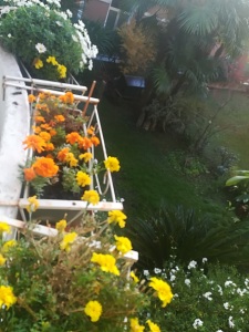 IMG_20171112_081342_resized_20171113_024506330