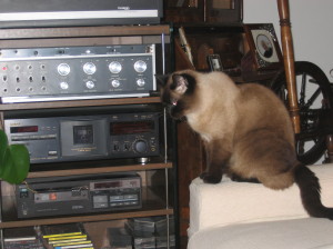 Varo ex Belfagor mar 07.jpg 012