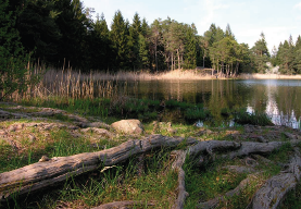 Il lago di S. Colomba