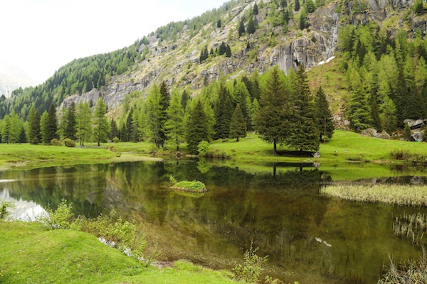 1_BIO-EN-AREA_Ph. Pillow Lab