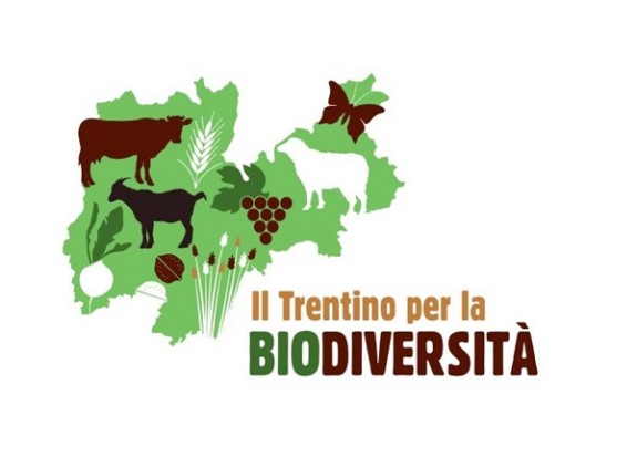 600 logo-TN_biodiversita_imagefullwide