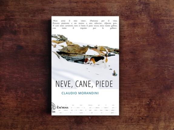 600 neve-cane-piede