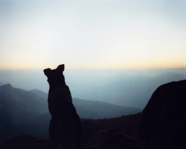 Italia  Trentino  Lagorai  Cima Cece