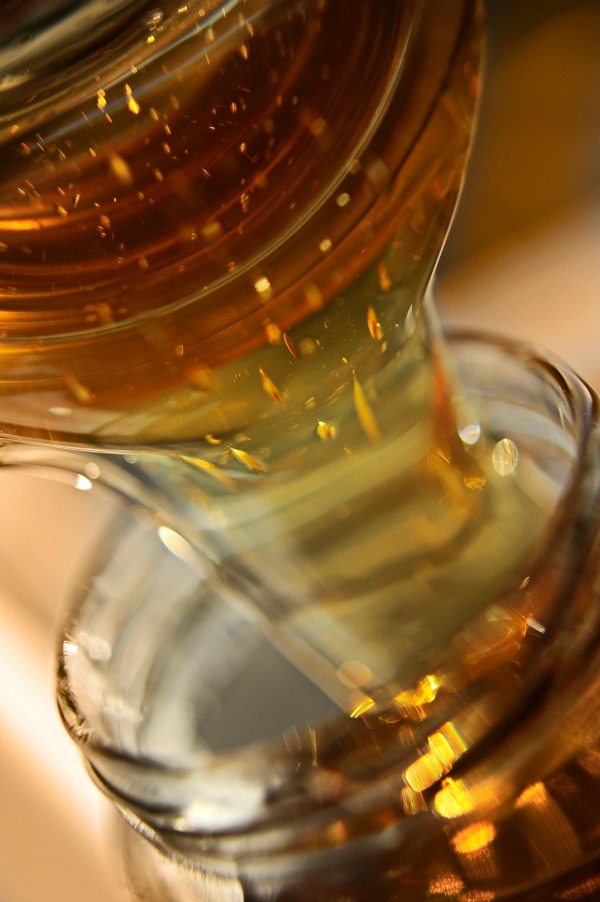 600Miele Fonte Palazzo Roccabruna