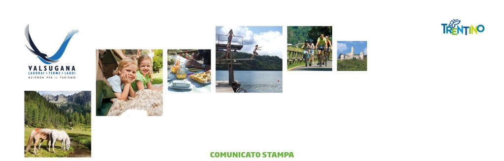 cs alta formazione 20132014