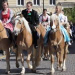 haflinger_clorenzo_masin2